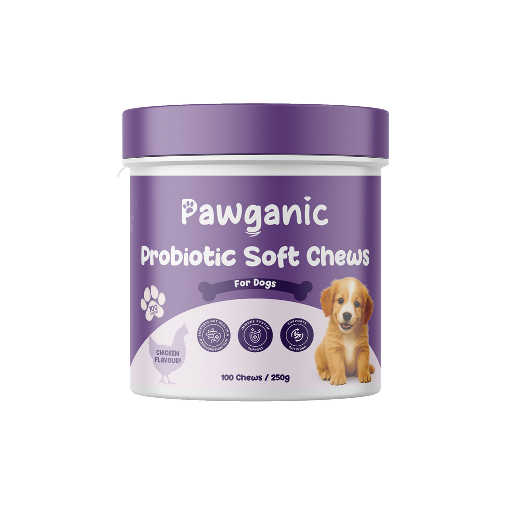 Dog Allergy Relief Chews – Soothe Itchy Skin & Paws