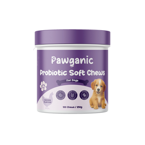 Dog Allergy Relief Chews – Soothe Itchy Skin & Paws