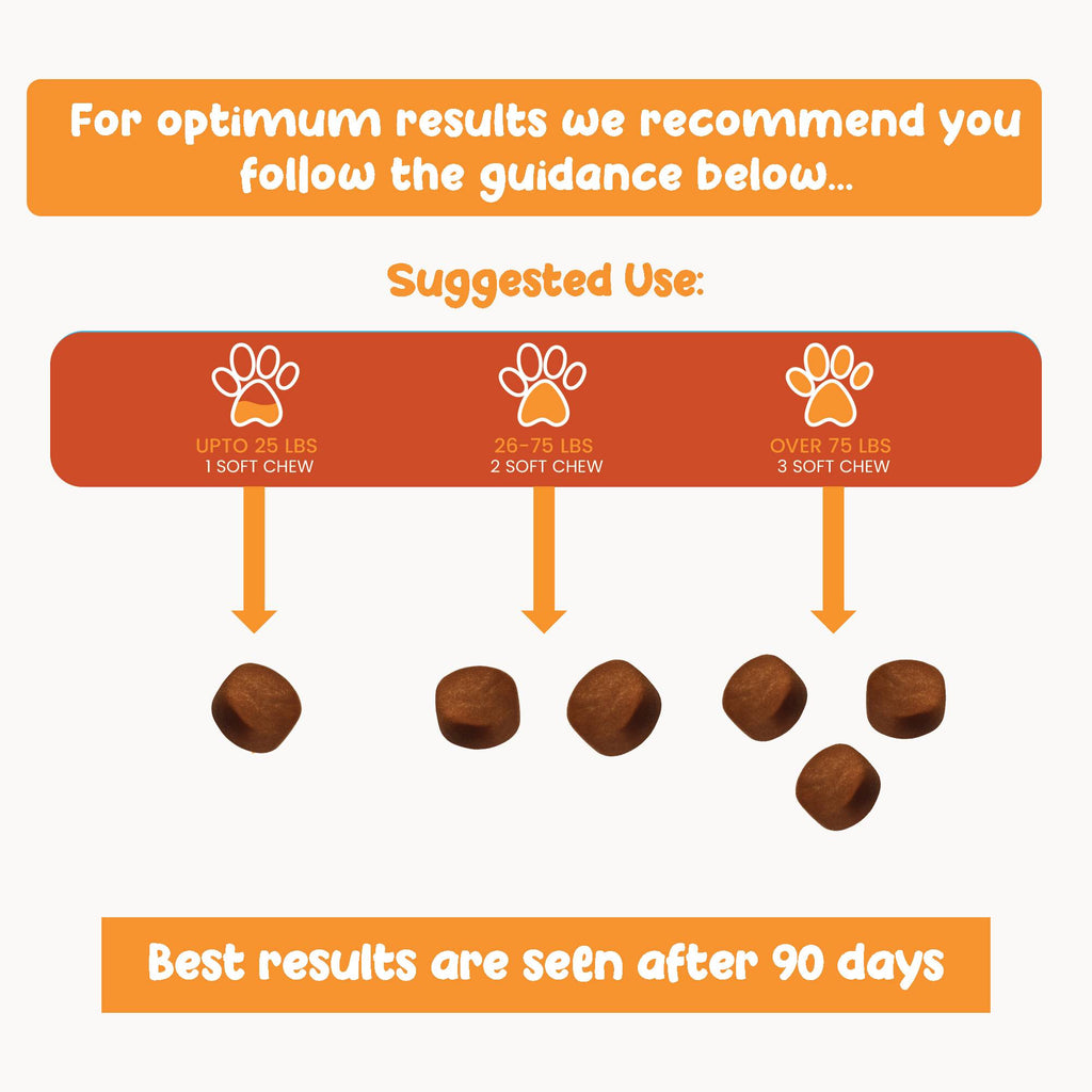 Dog Allergy Relief Chews – Soothe Itchy Skin & Paws