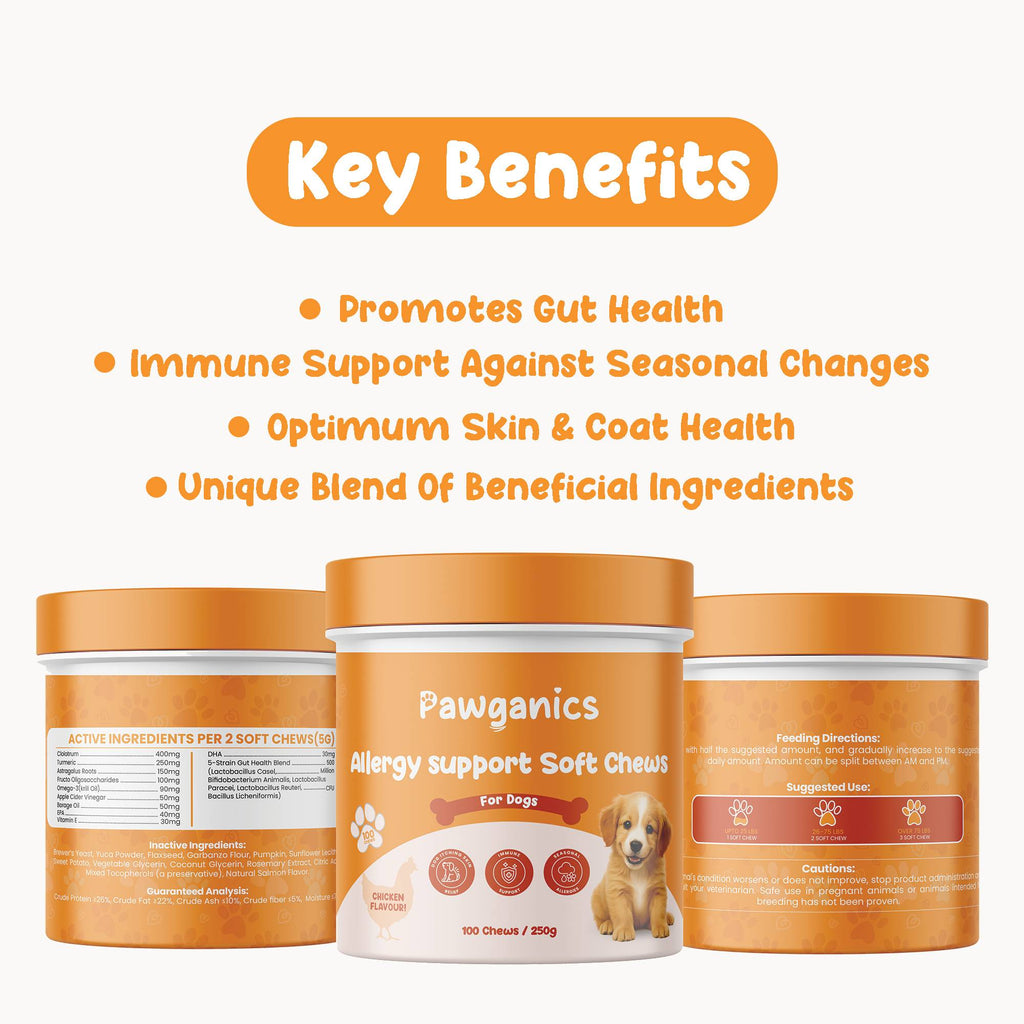 Dog Allergy Relief Chews – Soothe Itchy Skin & Paws
