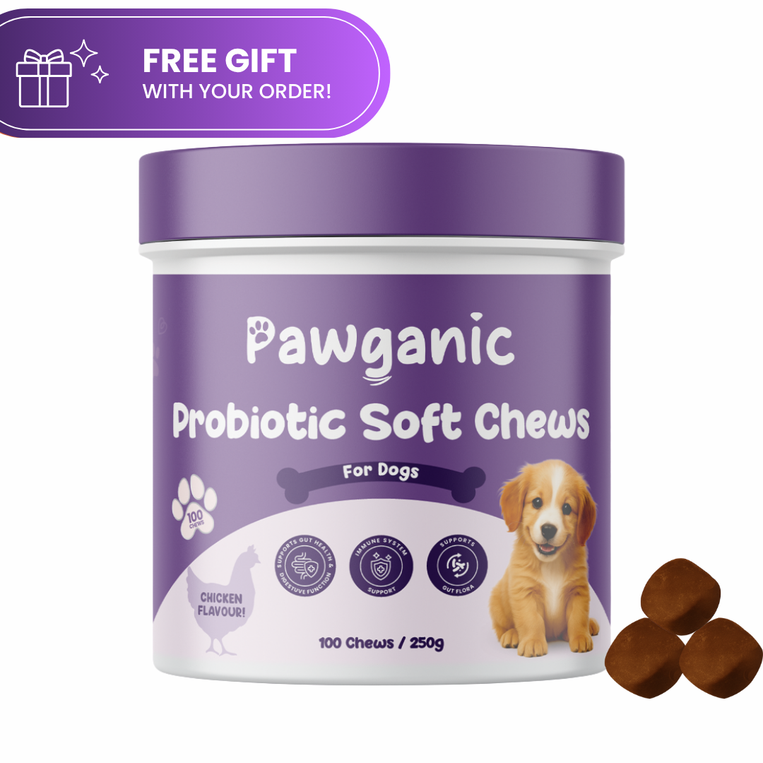 Dog Probiotic Soft Chews